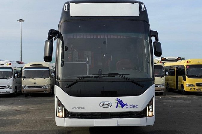 Private Transfer From or to Punta Cana Airport to hotels in Bávaro - Who should book this private transfer from Punta Cana Airport to Bávaro