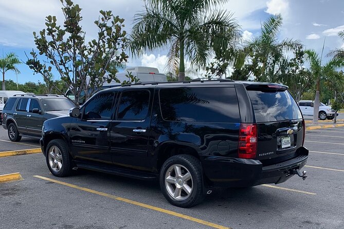 Private Transfer from PUJ Airport to Bávaro and Punta Cana Zone - Potential Pitfalls and How to Avoid Them