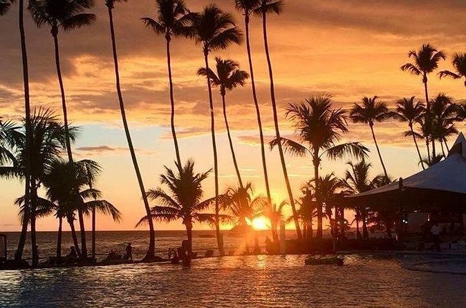 Private Transfer From Punta Cana Airport to Cap Cana, Cabeza de Toro and Bavaro - Clean Cars, On-Time Drivers, and Professional Handling