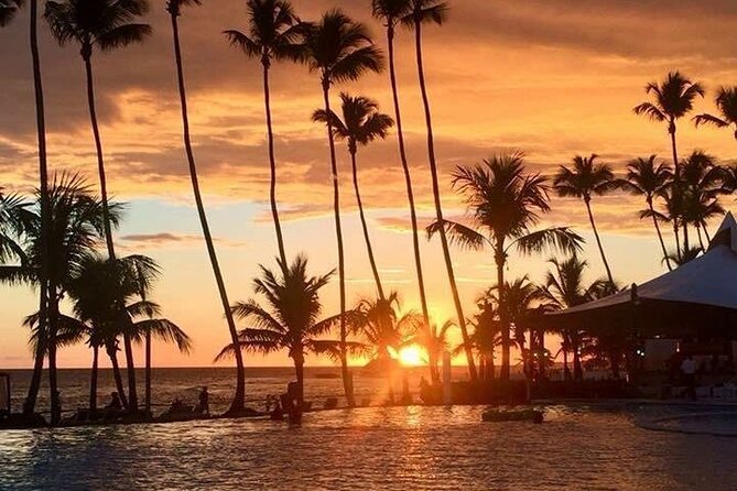 Private Transfer From Punta Cana Airport to Cap Cana, Cabeza de Toro and Bavaro - Cap Cana, Cabeza de Toro, or Bavaro: Picking the Right Drop-Off
