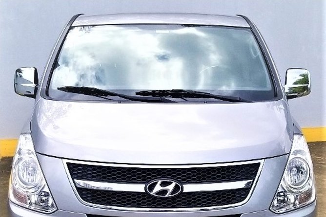 private transfer standard and premium airport punta cana to hotels pta cana - How the pickup process works in real life