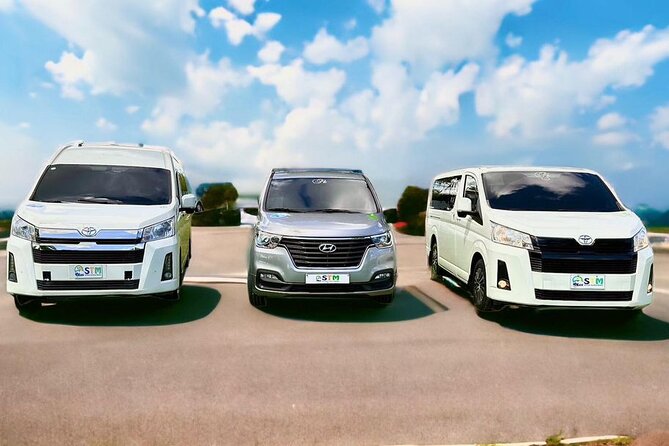 Private Transfer to/from Punta Cana Airport - Mobile ticket and staying oriented at the airport