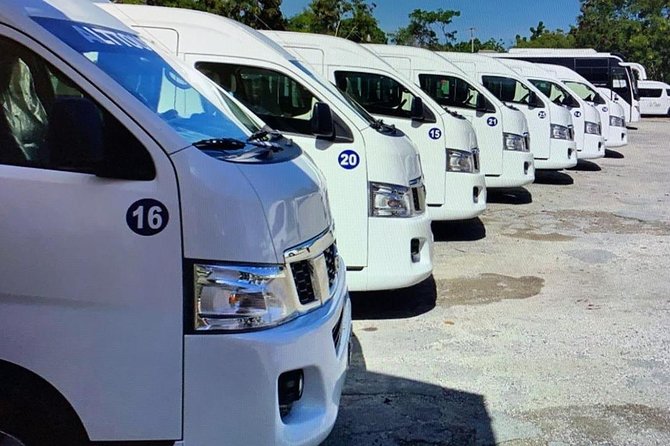 Private Transfers in PUNTA CANA AIRPORT - Price and Group Size: When $17 Feels Like a Steal