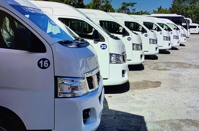 Private Transfers in PUNTA CANA AIRPORT - Timing and Communication: How to Avoid the Pickup Headaches