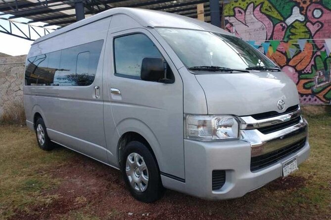Private Transfers in PUNTA CANA AIRPORT - Best Fit: Who This Transfer Suits Best