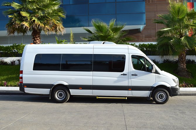Private Transportation From To Airpot and Punta Cana Hotels (1-6) - Why This Punta Cana Airport Transfer Feels Low-Stress
