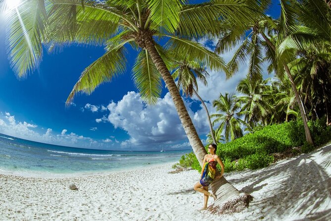 PRIVATE VIP tour Saona Island with Snorkeling, Starfish, Turtles - Key highlights