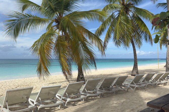PRIVATE VIP tour Saona Island with Snorkeling, Starfish, Turtles - Snorkeling in clear water and matching the pace to your group