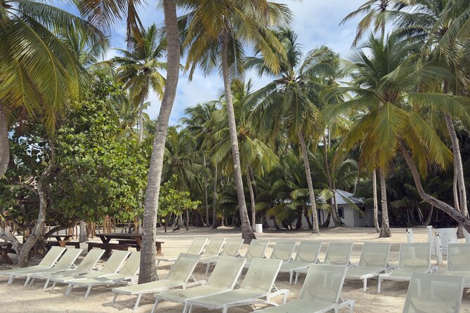 PRIVATE VIP tour Saona Island with Snorkeling, Starfish, Turtles - Cotubanamá National Park natural pool: the guaranteed starfish moment