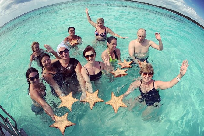PRIVATE VIP tour Saona Island with Snorkeling, Starfish, Turtles - Mangroves and sea turtles: the wildlife part that doesn’t feel like a chore