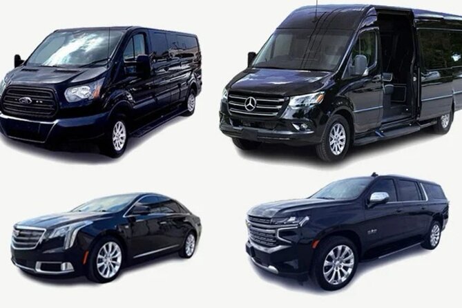 Private & VIP Transfers Puntacana airport/ hotels-luxury services - Key Things That Make This Transfer Feel Worth It