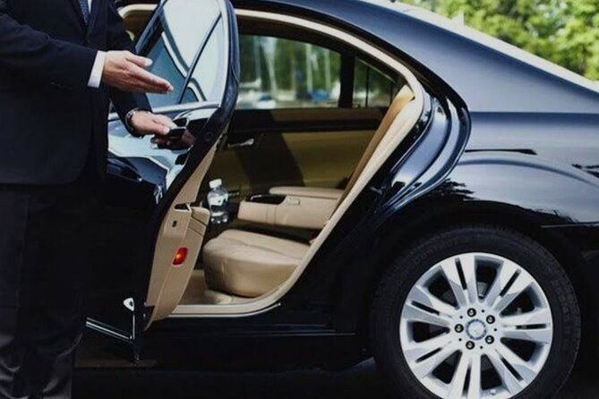 Private & VIP Transfers Puntacana airport/ hotels-luxury services - Who This Transfer Fits Best