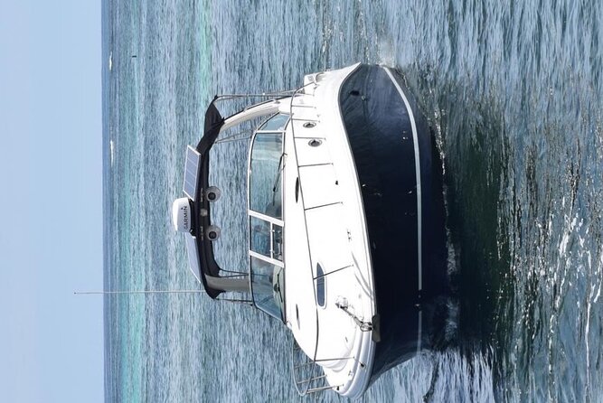Private VIP Yacht in Punta Cana - Stop 3: Playa Bibijagua dolphin watching from a platform
