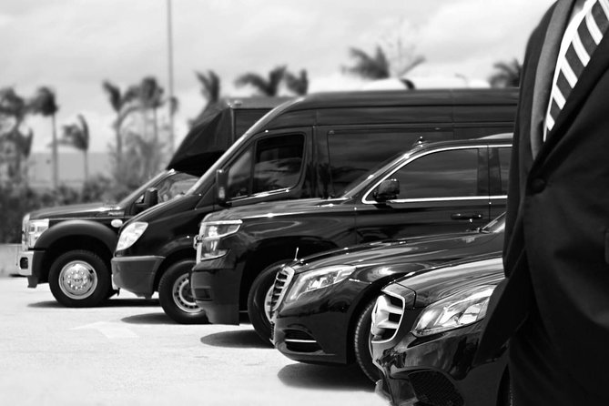 Punta Cana Airport Pick Up - Hotel Transportation Service - Key things worth clocking before you go