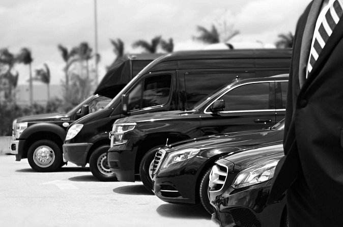 Punta Cana Airport Pick Up - Hotel Transportation Service - Flight delays: they track your arrival and plan for the real world