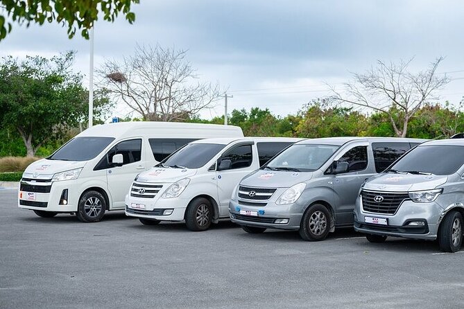 Punta Cana: Airport (PUJ) Shuttle To Hotel Round Trip - What to do so your pickup is painless