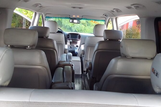 Punta Cana Airport PUJ Transfer Roundtrip to Hotels - Getting picked up at Punta Cana airport without drama