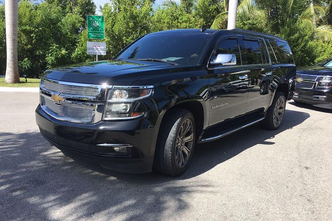 Punta Cana Airport to Punta Cana Hotels (up to 35 km) - Private Punta Cana ride: less stress when you land tired