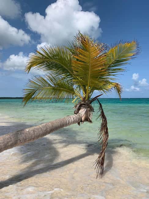 Punta Cana: All Inclusive Saona Island Experience - Saona Island time: beaches, mangroves, coral, and wildlife