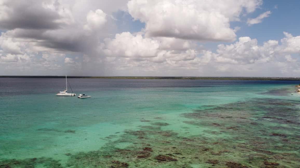 Punta Cana: All Inclusive Saona Island Experience - Playa Palmilla Natural Pool: the starfish stop