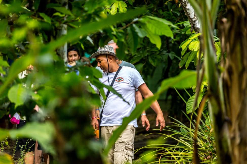 Punta Cana: Anamaya Mountains Walking Tour with Tasting - Key highlights to know before you go