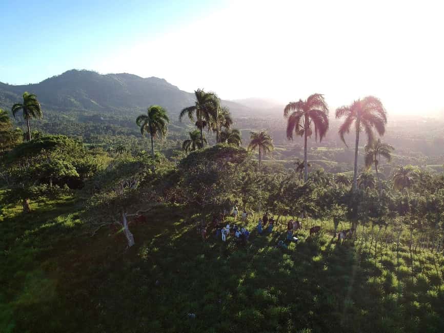 Punta Cana: Anamaya Mountains Walking Tour with Tasting - What you’ll taste: seasonal fruit and coffee, explained the rural way