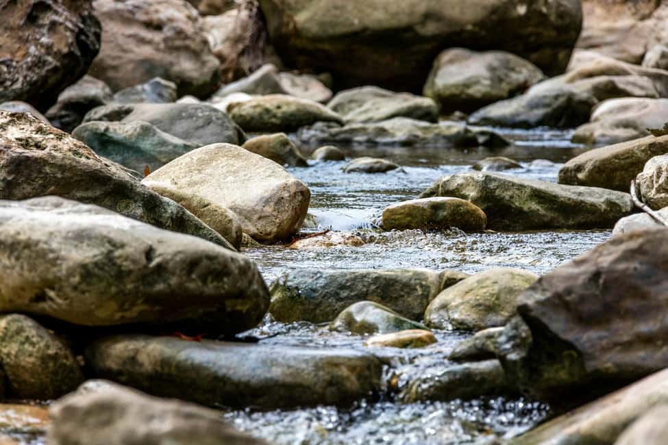 Punta Cana: Anamaya Mountains Walking Tour with Tasting - River Anamuya swim: refreshing when it’s good, optional when it’s not