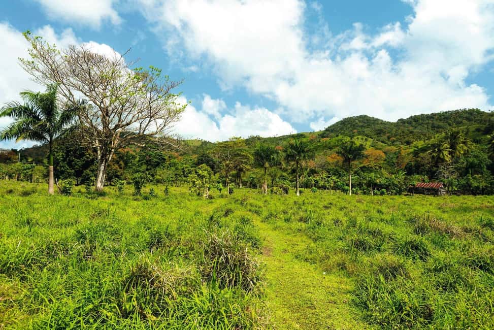 Punta Cana: Anamaya Mountains Walking Tour with Tasting - Meet the guide: how Alex, Eduardo, and Simon shape the whole day