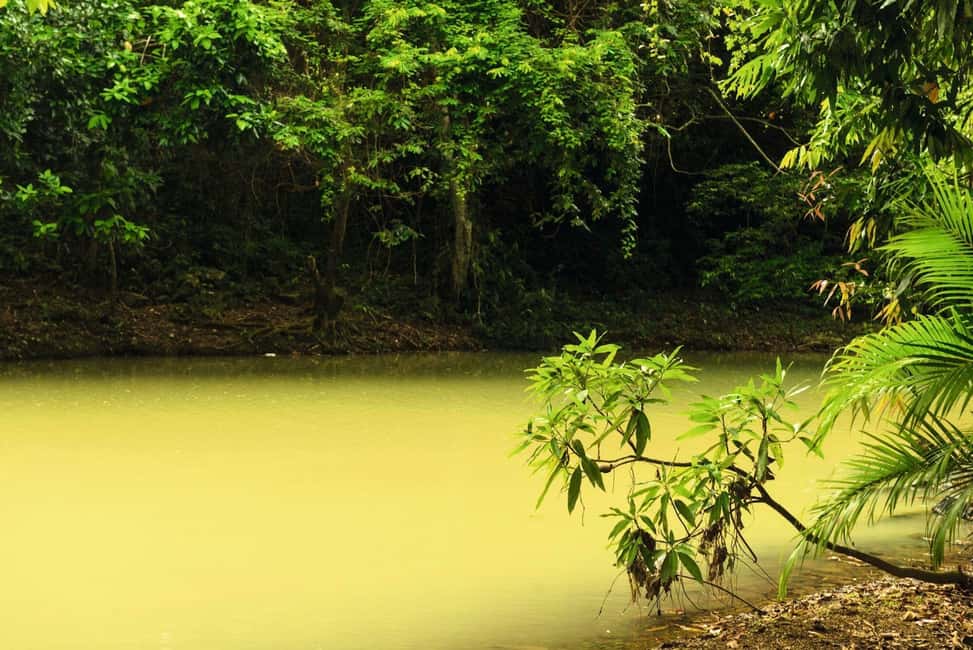 Punta Cana: Anamaya Mountains Walking Tour with Tasting - Weather, timing, and the 4-hour rhythm you’ll actually feel