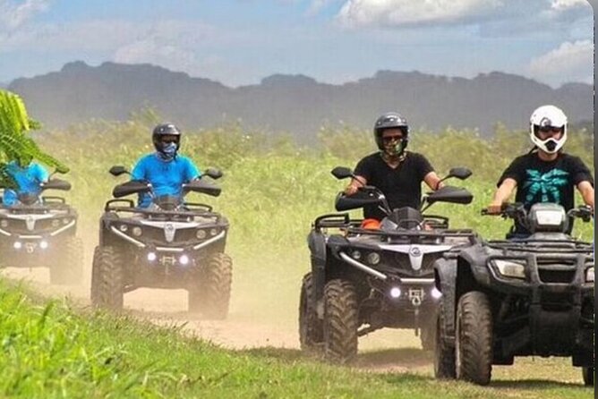 Punta Cana ATV / Buggies Adventure - The Culture Break: Dominican Coffee and Chocolate Taste
