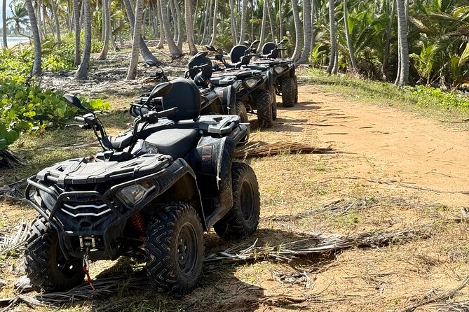 Punta Cana ATV: Jungle, Beach & River Small Group Tour - Stop 3: Punta del Coco Palm Grove, Fresh Coconuts, and Ocean Views