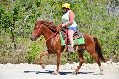 Punta Cana: Bávaro Adventure Park Horse Riding & Waterfalls - Key highlights that matter
