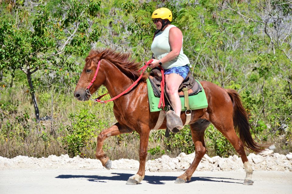 Punta Cana: Bávaro Adventure Park Horse Riding & Waterfalls - Key highlights that matter