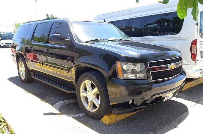 Punta Cana & Bávaro Private Transportation - What’s not included: drinks and alcohol