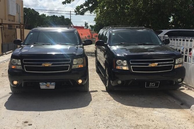 Punta Cana & Bávaro Private Transportation - The price: $14.99 for a short ride that’s still worth watching