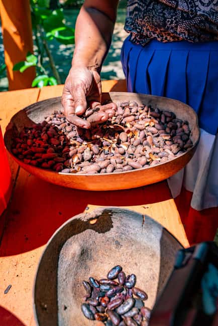 Punta Cana: Bavaro Runners Safari Tour - Cigar rollers workshop: tobacco craft with real detail