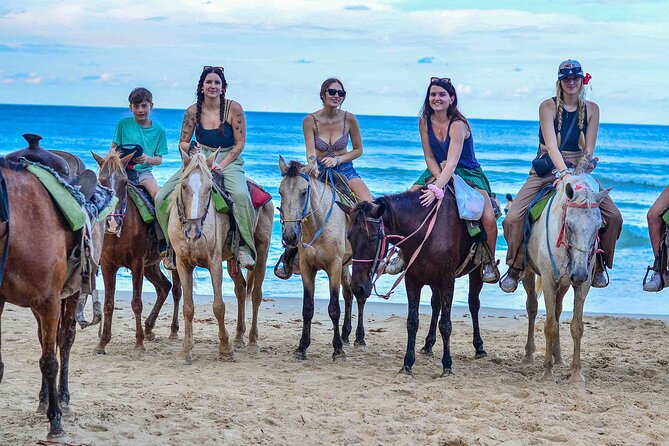 Punta Cana Beach Horseback Ride Paradise Coast Experience - Key highlights you will actually feel during the tour