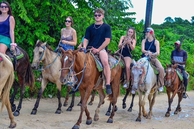 Punta Cana Beach Horseback Ride Paradise Coast Experience - Price and value: what $76 gets you and why it is more than a ride