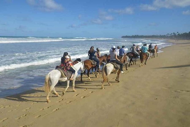 Punta Cana Beach Horseback Riding - Key highlights worth planning for