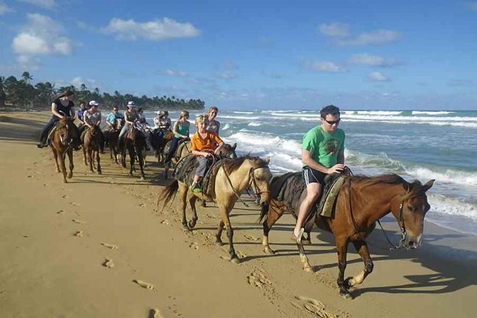 Punta Cana Beach Horseback Riding - Pickup realities: timing, van comfort, and what to double-check