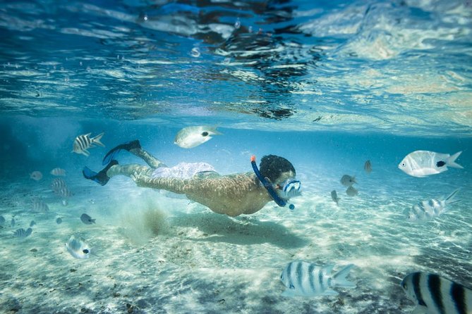 Punta Cana Booze Cruise with Snorkeling, Natural Pool & Open Bar - Punta Cana booze cruise vibe: Bibijagua Beach to party music