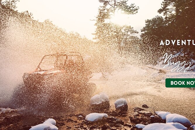 Punta Cana Buggies Extremo - Cenote and jungle cooling: where the tour gets memorable
