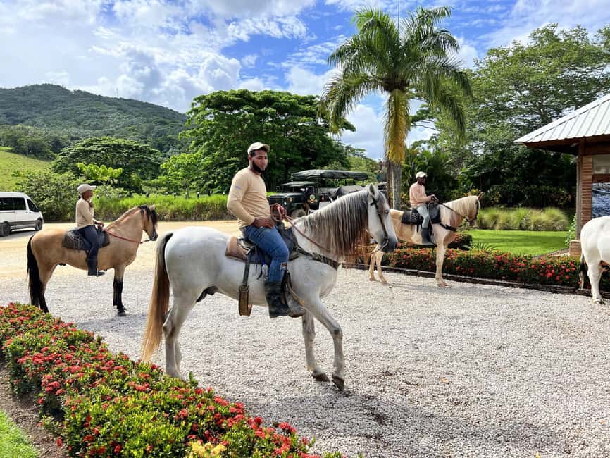 Punta Cana: Buggy and Zipline Adventure at La Hacienda - Key things I’d circle before you go