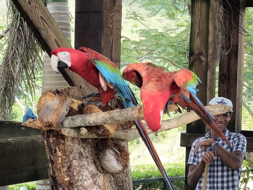 Punta Cana: Buggy and Zipline Adventure at La Hacienda - The big idea: La Hacienda’s 7-in-1 jungle day