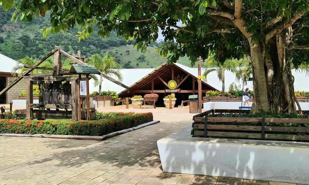 Punta Cana: Buggy and Zipline Adventure at La Hacienda - Timing reality: 5 hours listed, plan for a full day