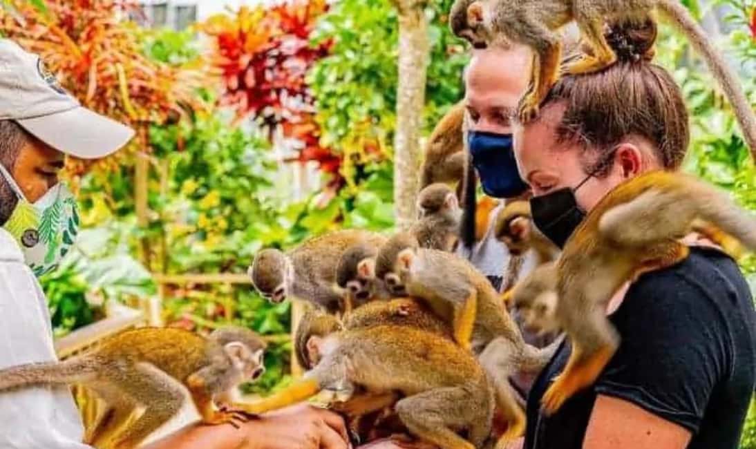 Punta Cana Buggy Tours Cenote Cave, Beach - Key Points Before You Go