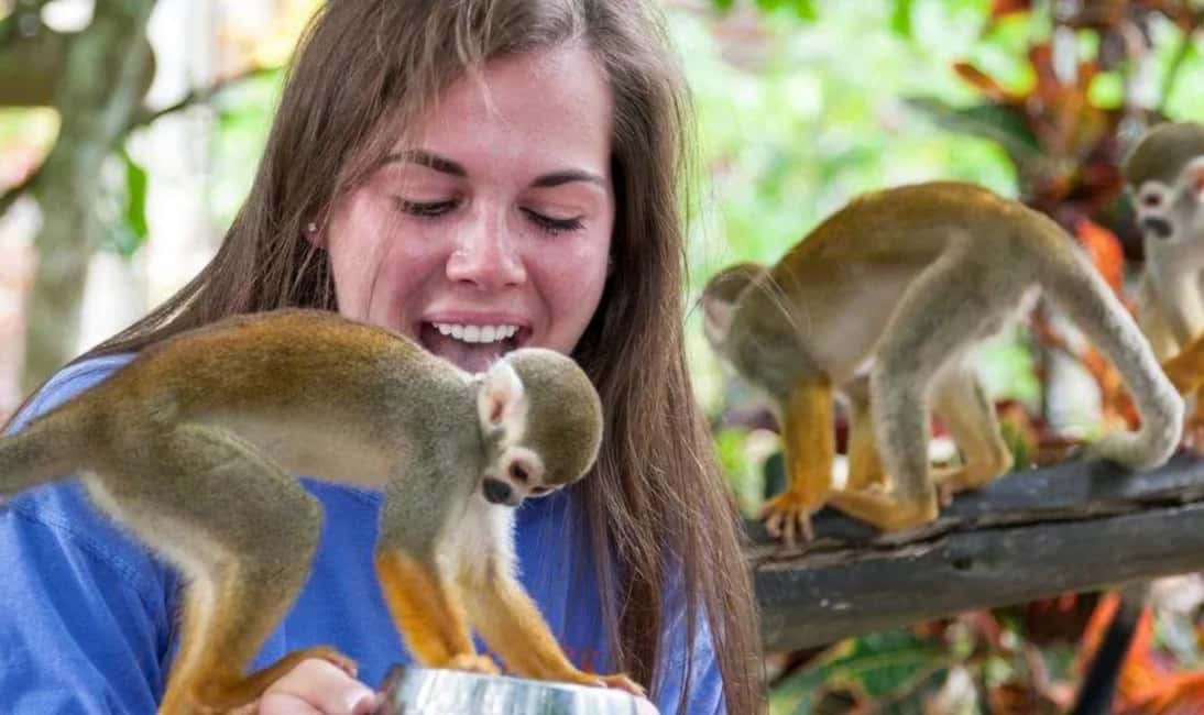 Punta Cana Buggy Tours Cenote Cave, Beach - Casa del Coco Plantation Stop: Coconut Oil, Coffee, and Cacao Tastings