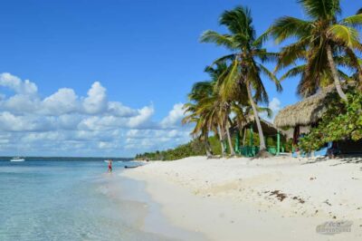 Punta Cana: Catalina Island and Snorkeling with Pickup - Snorkel Stop at The Wall: Clear Water and Real Sea Life