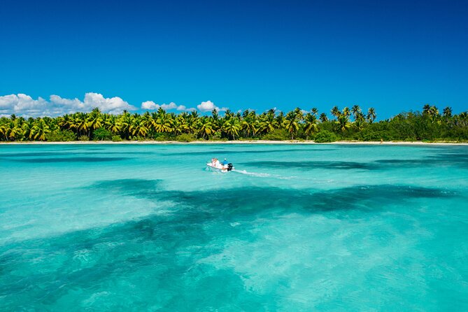 Punta Cana Catalina Island Catamaran Tour Package Deal - Key highlights you’ll care about