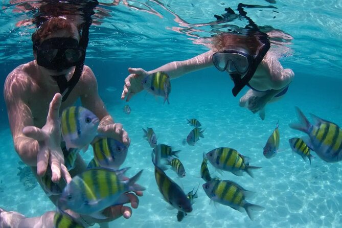 Punta Cana Catalina Island Catamaran Tour Package Deal - The return to Punta Cana: 3:00pm boat departure rhythm